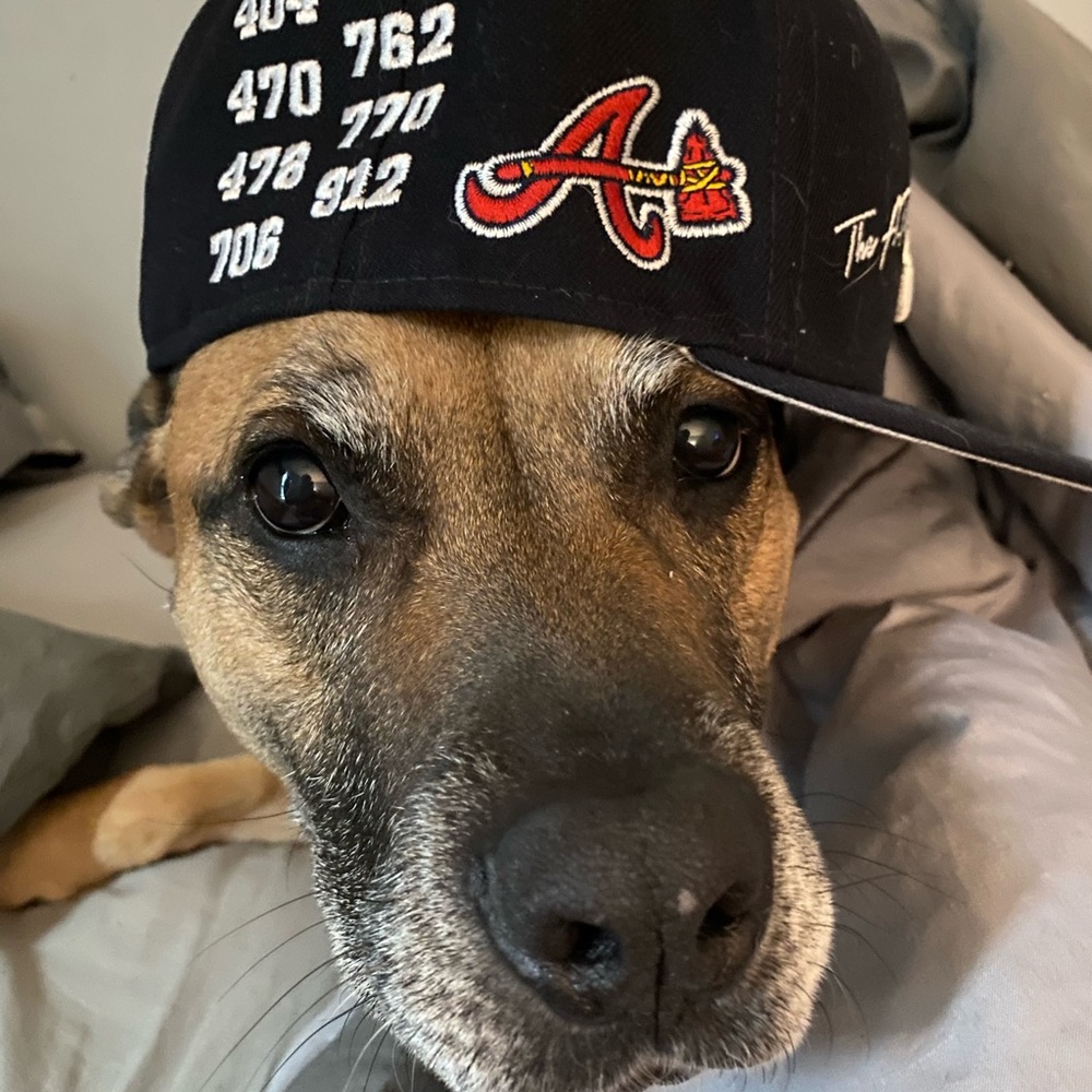 Meet your Posher, Mike